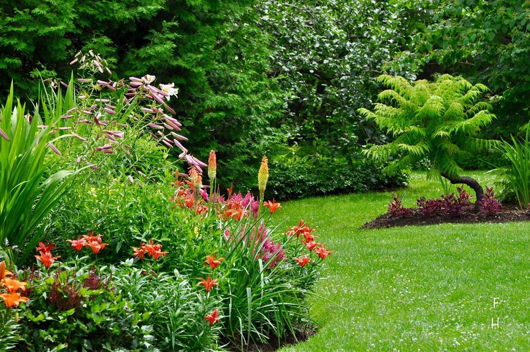 Jardin anglais